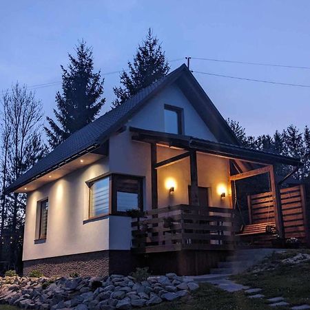 Cichata - Domek W Bieszczadach Czarna  Kültér fotó
